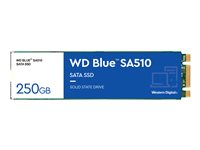 WD Blue SA510 WDS250G3B0B - SSD - 250 GB - intern - M.2 2280 - SATA 6Gb/s - blå WDS250G3B0B
