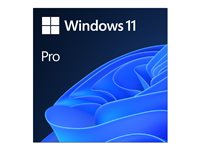 Windows 11 Pro - Lisens - 1 lisens - ESD - National Retail, 64-bit - All Languages FQC-10572