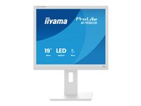 iiyama ProLite B1980S-W1 - LED-skjerm - 19" B1980S-W1