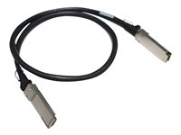 HPE Aruba - Direkte 100GBase-koblingskabel - QSFP28 (hann) til QSFP28 (hann) - 1 m - for HPE Aruba 8325-32C, 8325-48Y8C; CX 8360-48XT4C v2 R9F77A