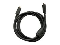 Logitech - USB-kabel - 24 pin USB-C (hann) til 24 pin USB-C (hann) - for Rally 993-002153