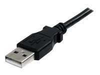 StarTech.com 10 ft Black USB 2.0 Extension Cable A to A - 10ft USB 2.0 Extension Cable - 10ft USB male female Cable (USBEXTAA10BK) - USB-forlengelseskabel - USB (hann) til USB (hunn) - USB 2.0 - 3 m - svart - for P/N: 35FCREADBK3, ICUSB2321F, ICUSB232PRO, ICUSB232V2, LTUB1MBK, MSDREADU2OTG, UUSBOTG USBEXTAA10BK