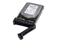 Dell - Harddisk - kryptert - 2.4 TB - hot-swap - 2.5" i 3,5 tommer leder - SAS 12Gb/s - 10000 rpm - FIPS - Self-Encrypting Drive (SED) - for PowerEdge C6420 (2.5") 400-AVHE