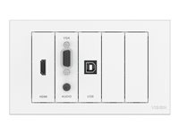 VISION TechConnect TC3 Wall-Mount Faceplate Package - Modulmulighetsplatesett med trykklåser - HD-15, stereo minijack 3,5 mm, HDMI, USB-type B - matt hvit TC3-PK