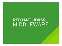 JBoss BPM Suite - standardabonnement (1 år) - 4 kjerner MW00151