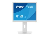 iiyama ProLite B1980S-W1 - LED-skjerm - 19" B1980S-W1