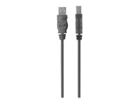 Belkin Premium Printer Cable - USB-kabel - USB-type B (hann) til USB (hann) - USB 2.0 - 4.8 m - formstøpt F3U154BT4.8M