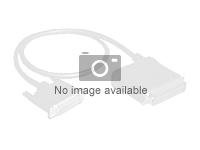 Intel OCuLink Cable Kit AXXCBL470CVCR - SAS intern kabel - 4i MiniLink SAS (SFF-8611) (hann) rett til 4i MiniLink SAS (SFF-8611) (hann) rettvinklet - 47 cm AXXCBL470CVCR